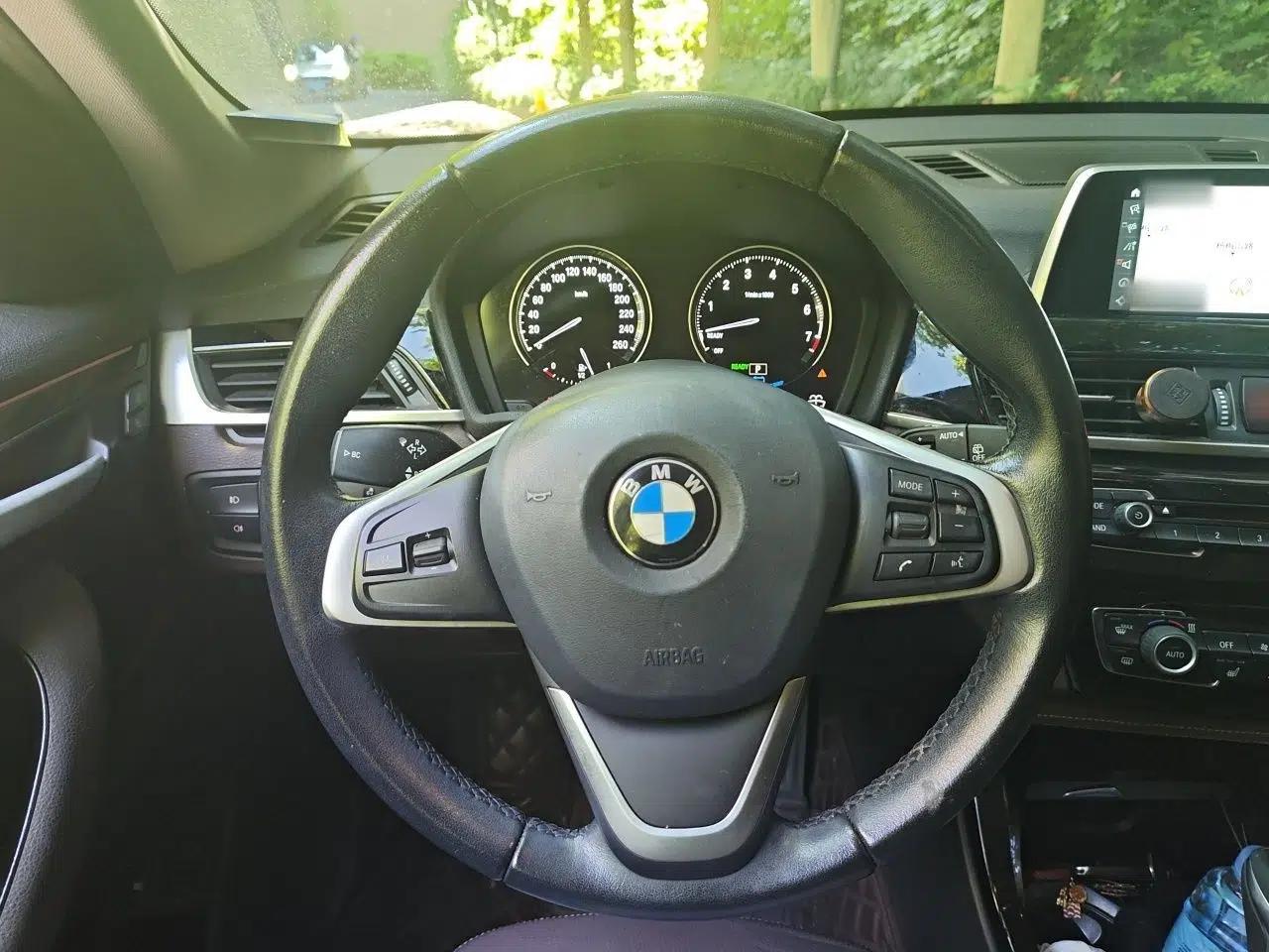 BMW X1 New Energy 2019 xDrive25Le Luxury Model — миниатюра 11