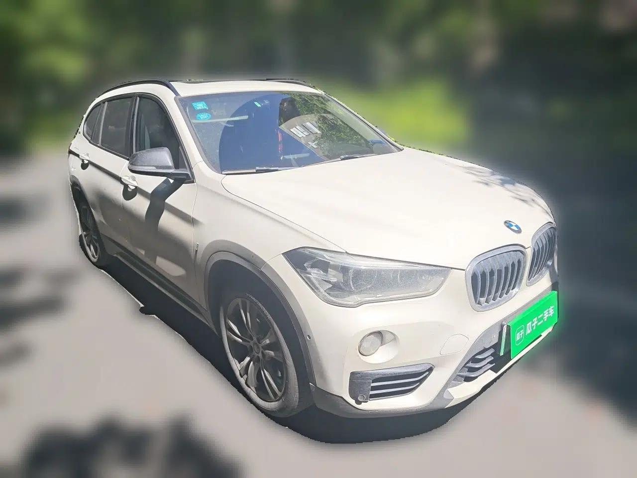 BMW X1 New Energy 2019 xDrive25Le Luxury Model — миниатюра 3