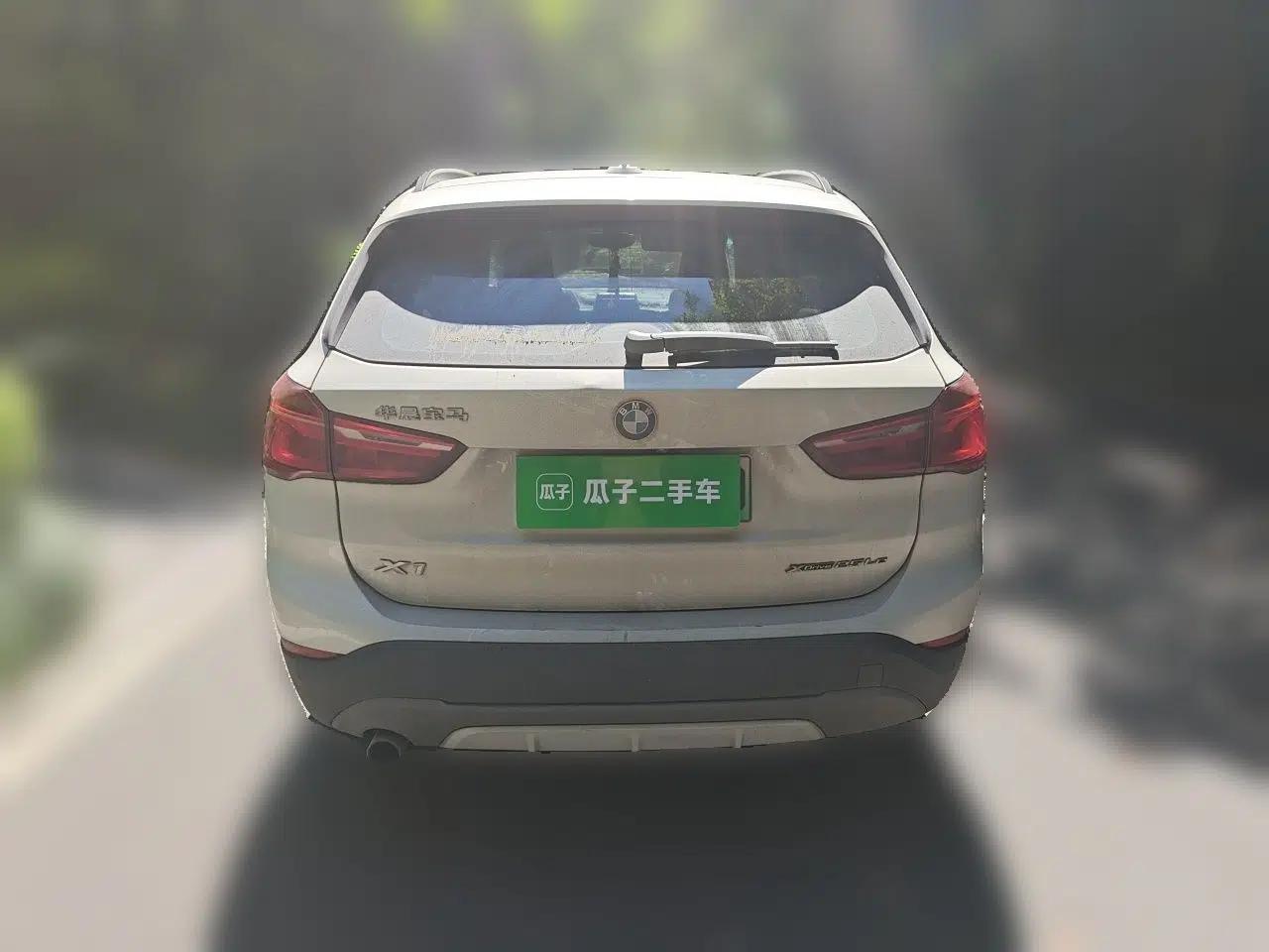 BMW X1 New Energy 2019 xDrive25Le Luxury Model — миниатюра 5