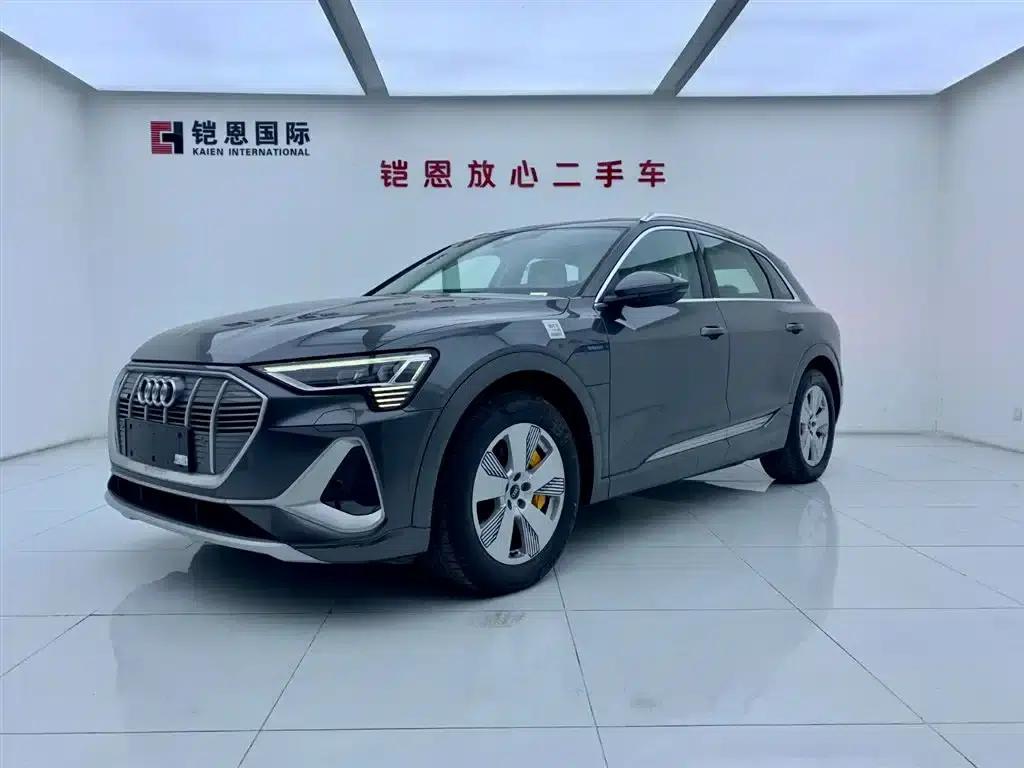 Audi e-tron 2021 50 quattro Luxury — миниатюра 1