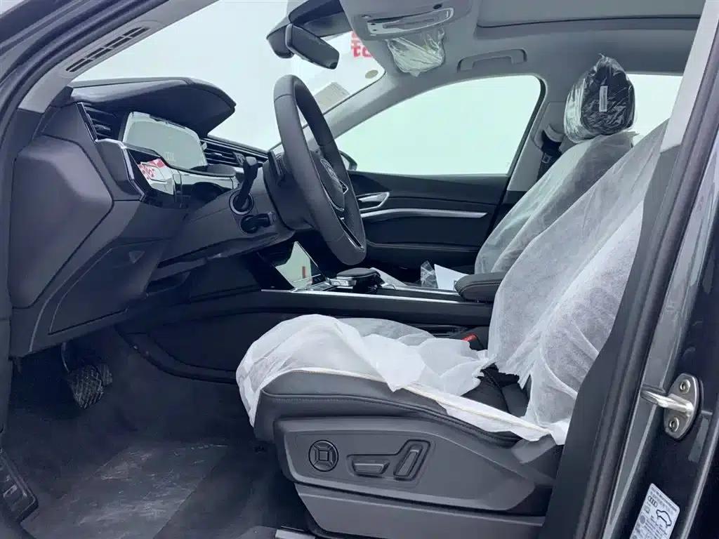 Audi e-tron 2021 50 quattro Luxury — миниатюра 11