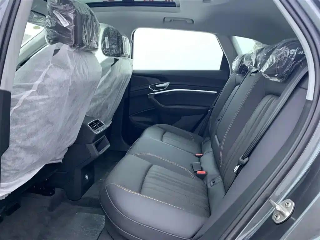 Audi e-tron 2021 50 quattro Luxury — миниатюра 12