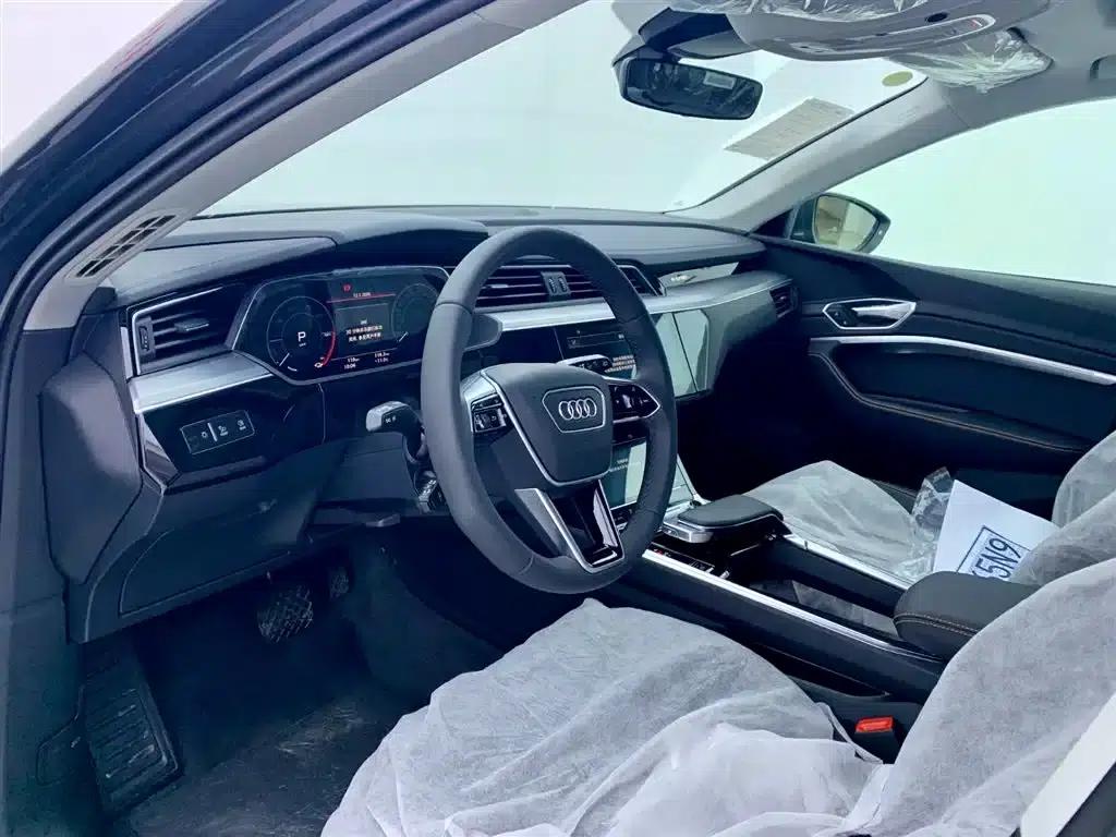 Audi e-tron 2021 50 quattro Luxury — миниатюра 15