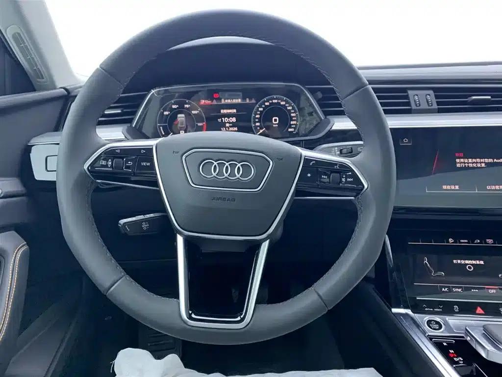 Audi e-tron 2021 50 quattro Luxury — миниатюра 19