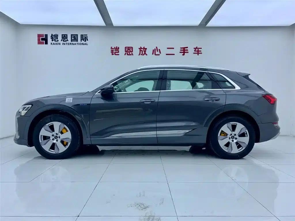 Audi e-tron 2021 50 quattro Luxury — миниатюра 3
