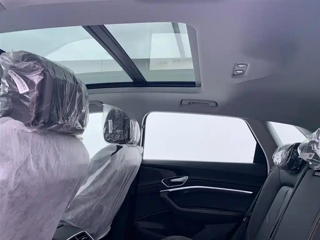 Audi e-tron 2021 50 quattro Luxury — миниатюра 23