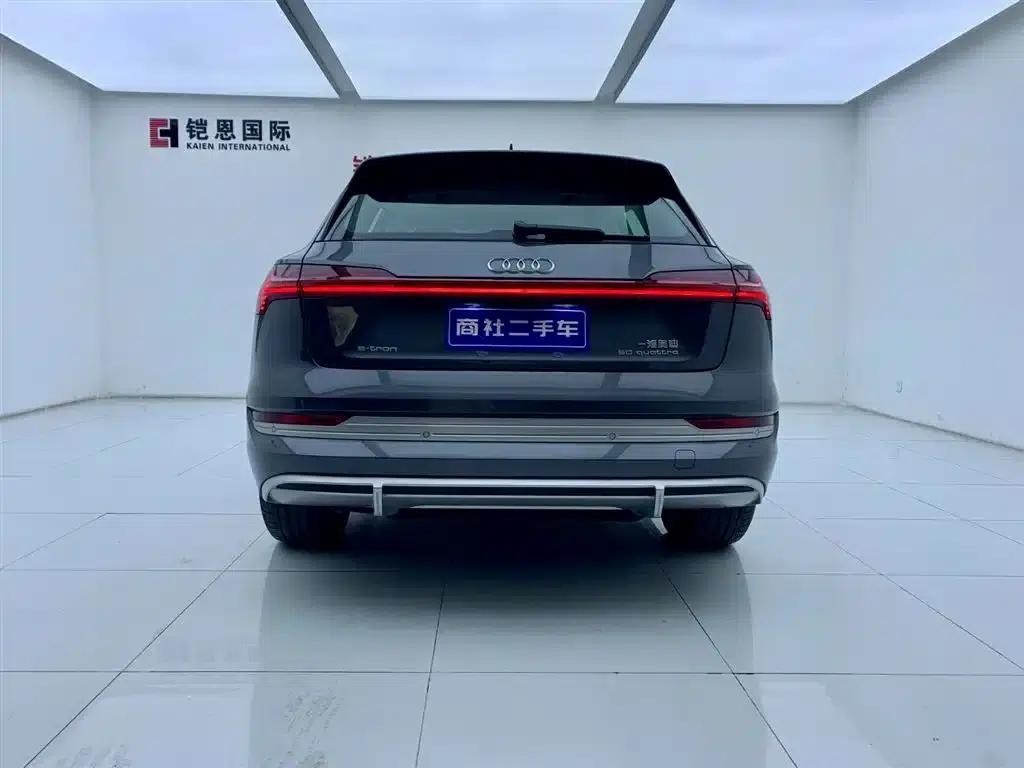 Audi e-tron 2021 50 quattro Luxury — миниатюра 4
