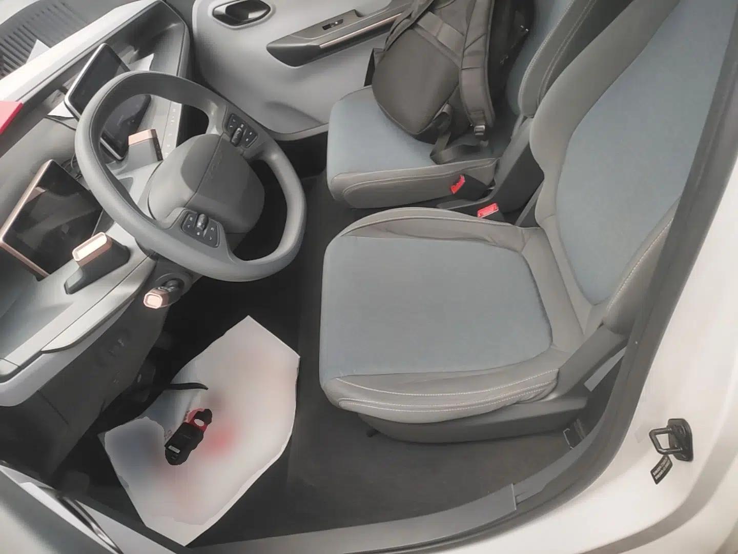 Baojun E200 2020 305KM Smart Drive Version — миниатюра 18