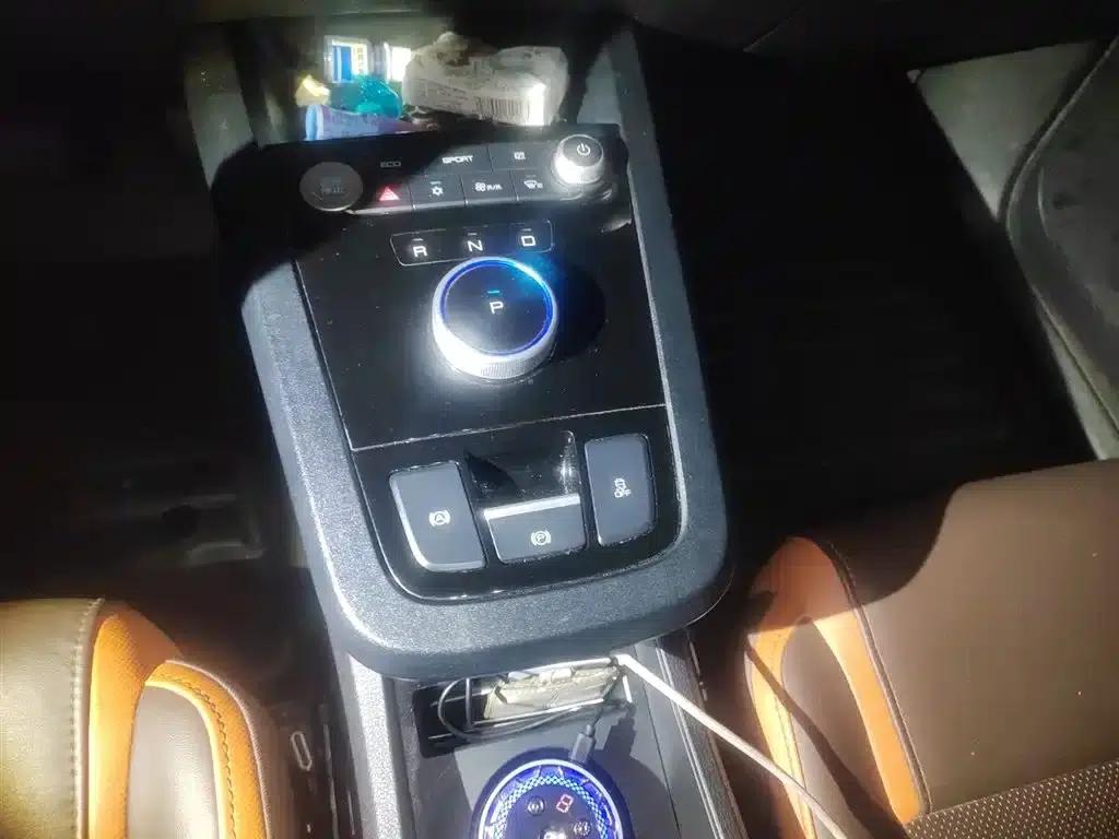 BYD e2 2021 Luxury Edition — миниатюра 11