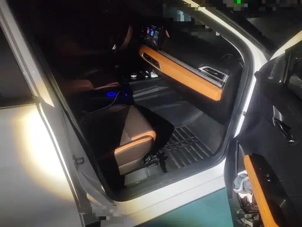 BYD e2 2021 Luxury Edition — миниатюра 22