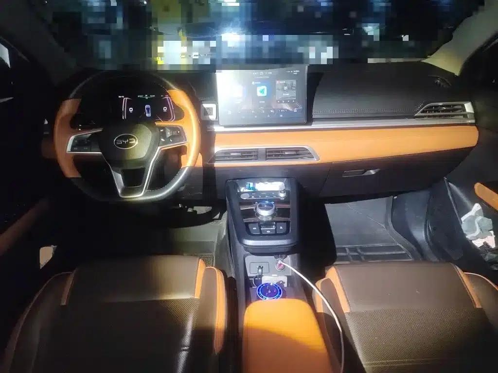 BYD e2 2021 Luxury Edition — миниатюра 6