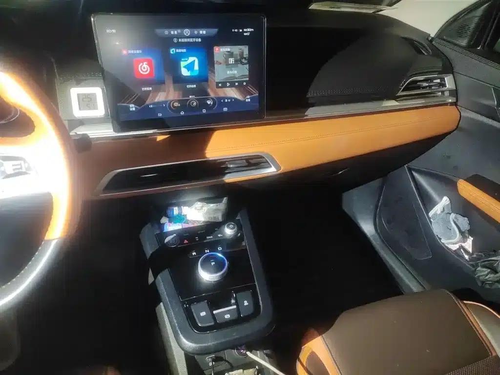 BYD e2 2021 Luxury Edition — миниатюра 10