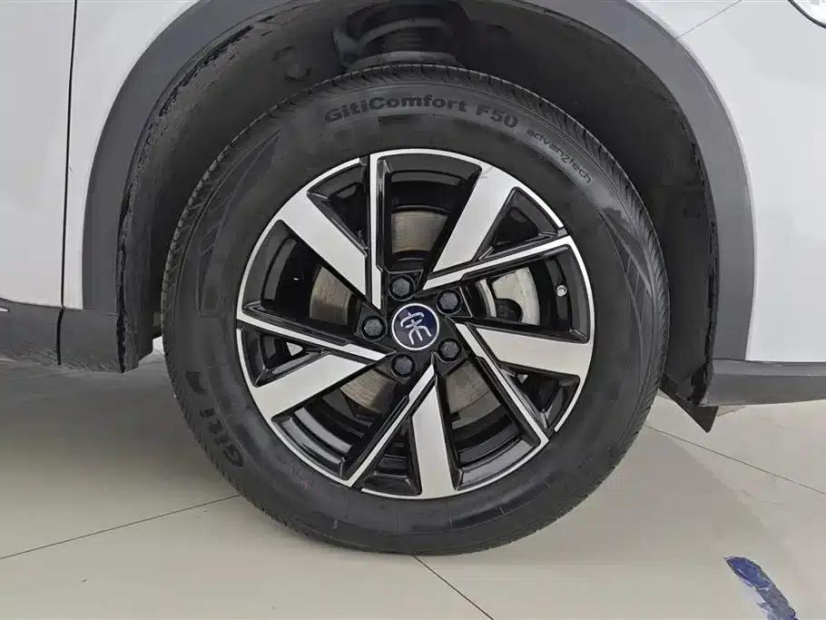 Song Pro New Energy 2024 Glory Edition DM-i 110KM Superior Model — миниатюра 6