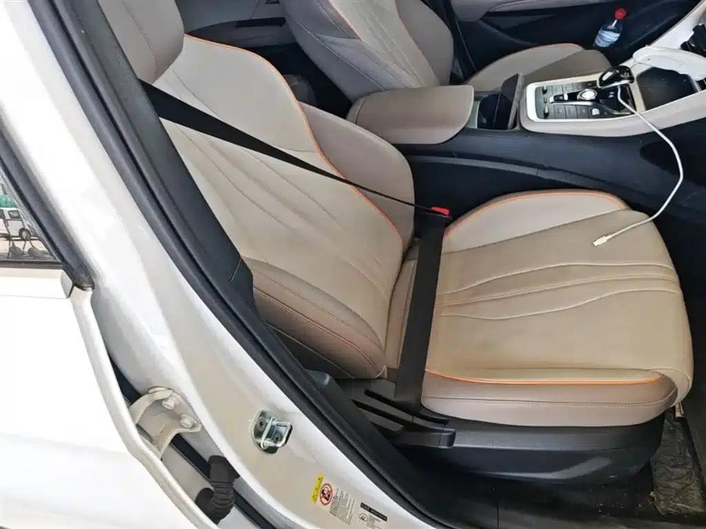 Song Pro New Energy 2024 Glory Edition DM-i 71KM Superior Model — миниатюра 25