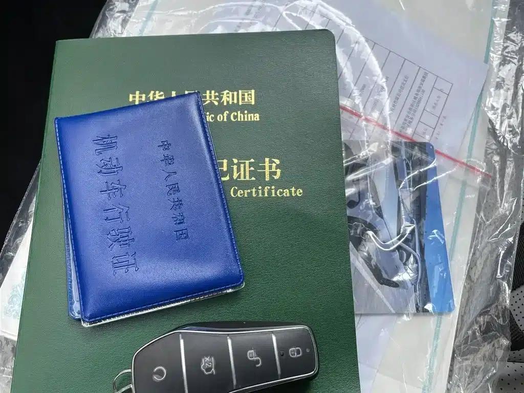 Seal 06 DM-i Touring Edition 2025 DM-i 150KM Flagship Model — миниатюра 12