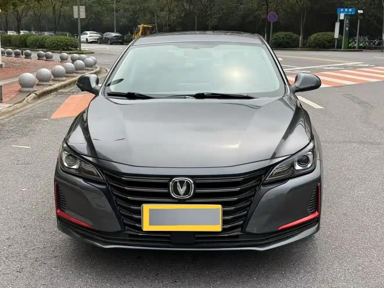 Ruicheng CC 2021 Blue Whale Edition 1.5T DCT Elite — миниатюра 2