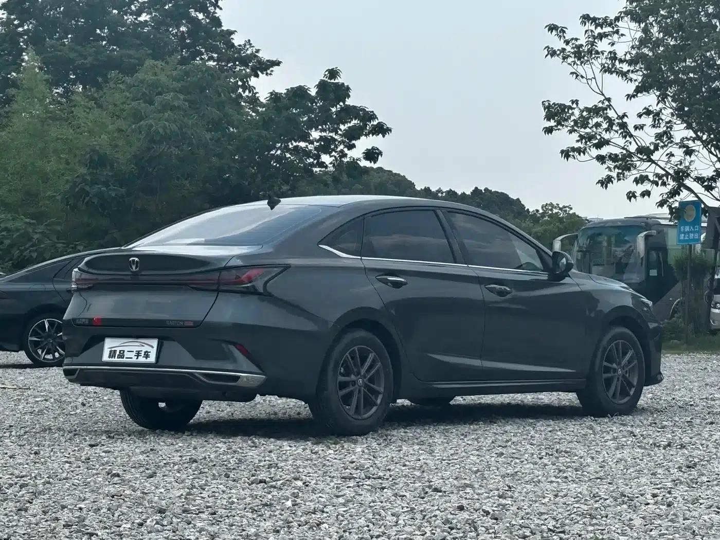 Ruicheng PLUS 2023 1.5T DCT Luxury Edition — миниатюра 6
