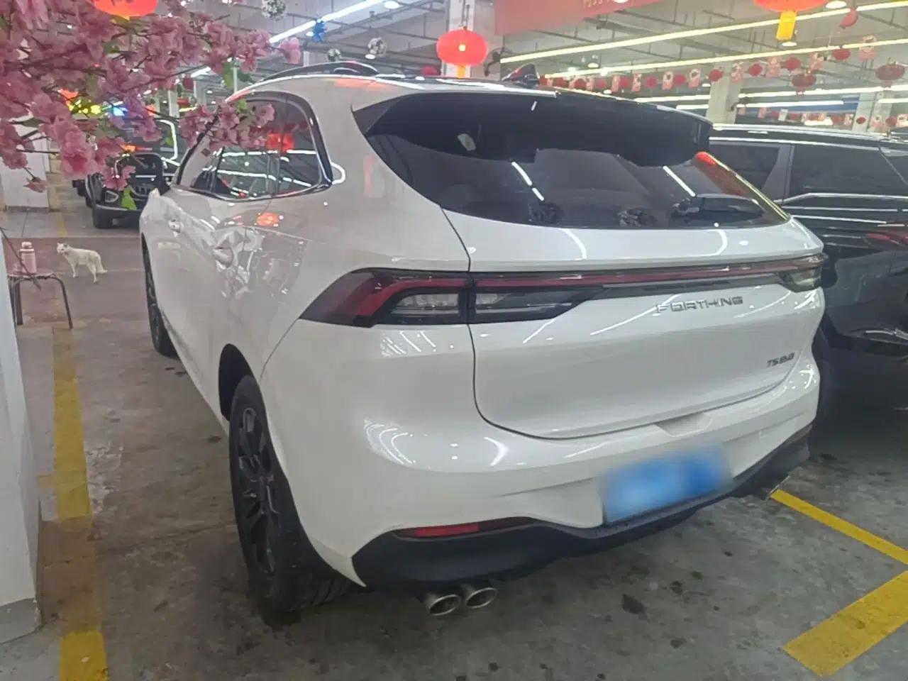 FORTHING T5 EVO 2021 1.5TD DCT Diamond Edition — миниатюра 4