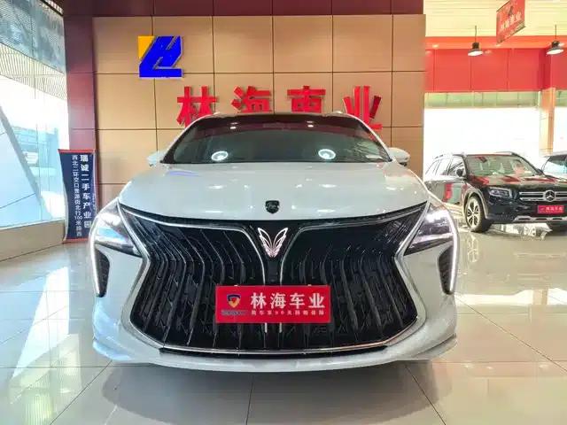 Fengxing Yacht 2024 1.5T DCT Ocean View Edition