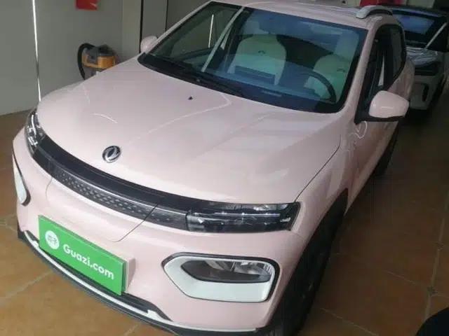 Dongfeng NAMMI BOX 2022 Chasing Wind Edition 331KM Advanced Model