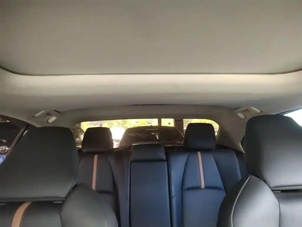 2021 Geely Lingshang 2.0L Luxury Edition — миниатюра 18