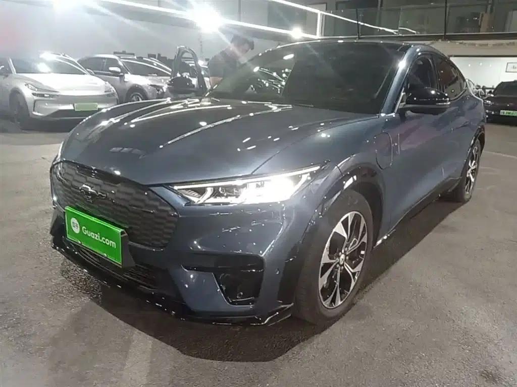 Ford eCar 2021 Model X Unlimited Rear-Wheel Drive Luxury Edition (Long Range) — миниатюра 2
