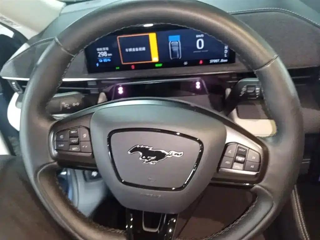 Ford eCar 2021 Model X Unlimited Rear-Wheel Drive Luxury Edition (Long Range) — миниатюра 11