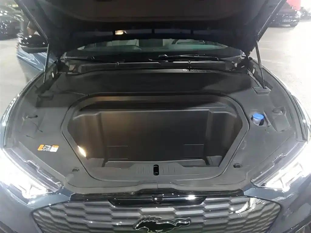 Ford eCar 2021 Model X Unlimited Rear-Wheel Drive Luxury Edition (Long Range) — миниатюра 20
