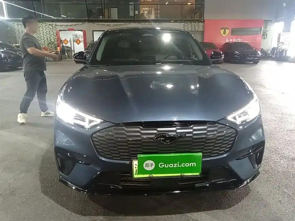 Ford eCar 2021 Model X Unlimited Rear-Wheel Drive Luxury Edition (Long Range) — миниатюра 3