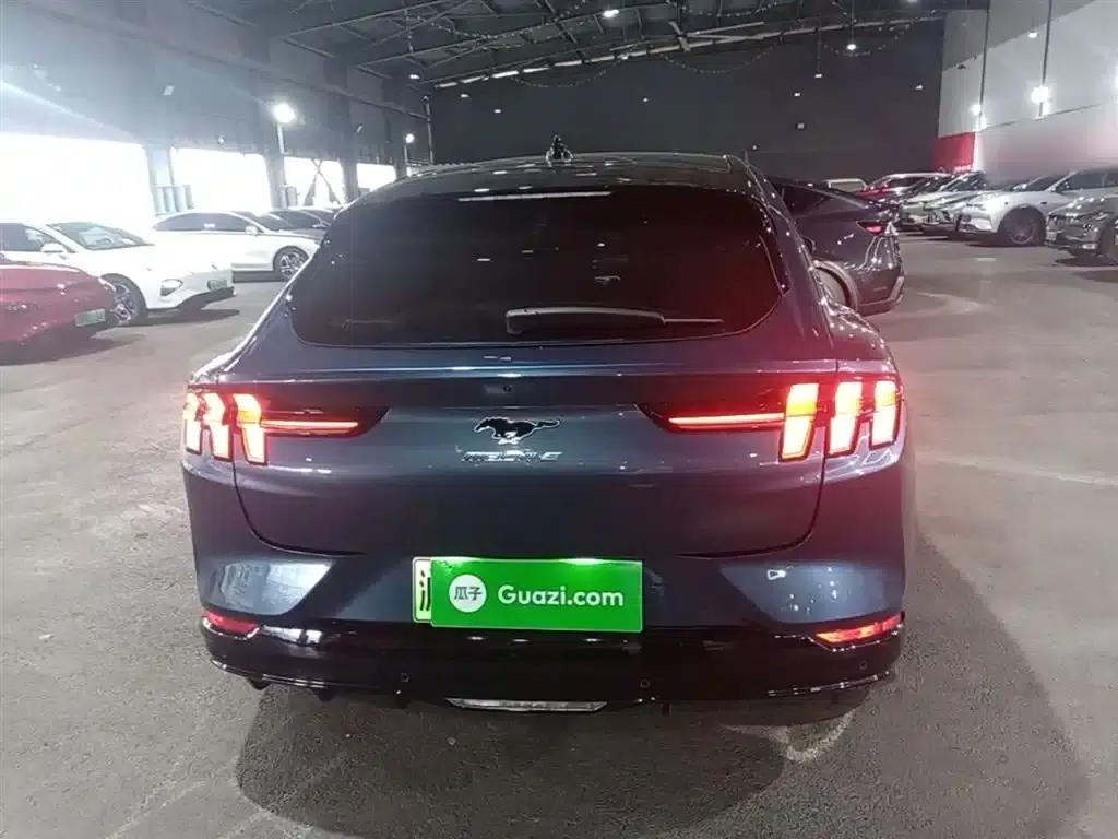 Ford eCar 2021 Model X Unlimited Rear-Wheel Drive Luxury Edition (Long Range) — миниатюра 6