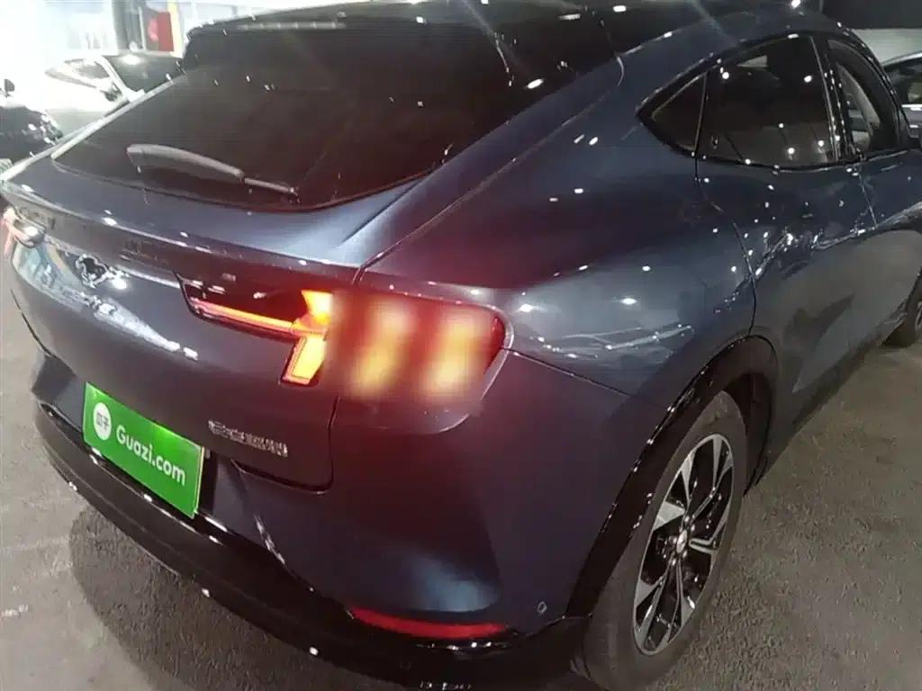 Ford eCar 2021 Model X Unlimited Rear-Wheel Drive Luxury Edition (Long Range) — миниатюра 8