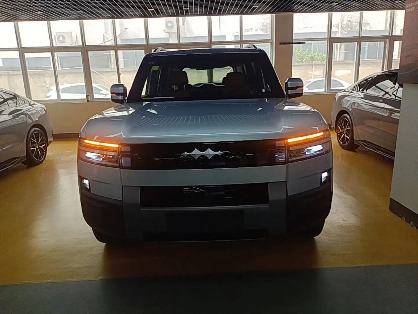 Formula Leopard Tai 7 2025 Model 200 km Two-Wheel Drive Max Edition — миниатюра 2