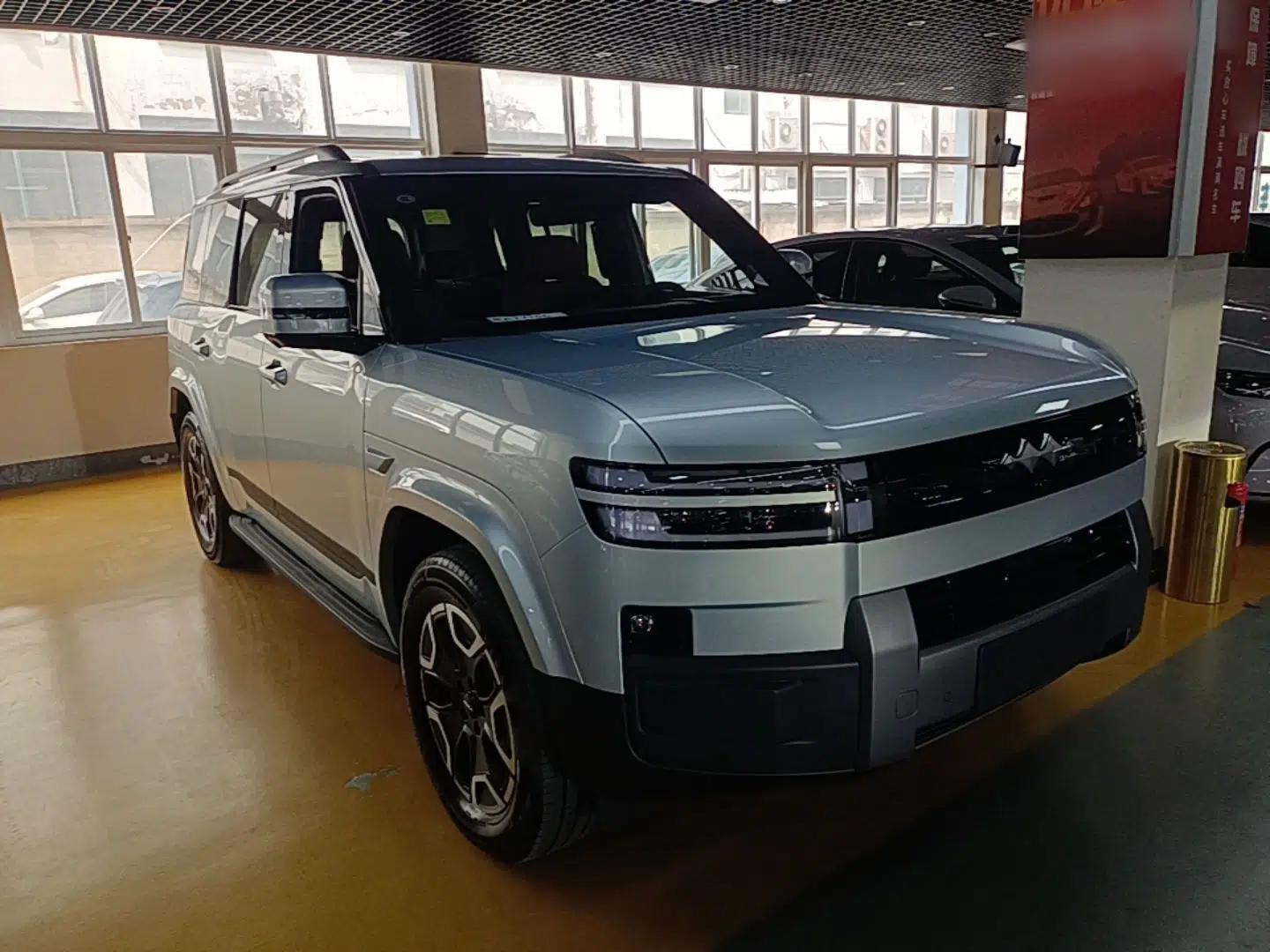 Formula Leopard Tai 7 2025 Model 200 km Two-Wheel Drive Max Edition — миниатюра 3