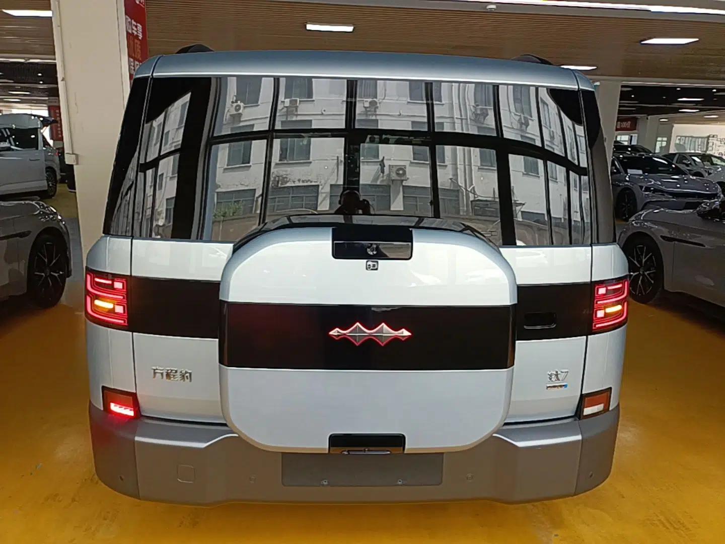 Formula Leopard Tai 7 2025 Model 200 km Two-Wheel Drive Max Edition — миниатюра 5