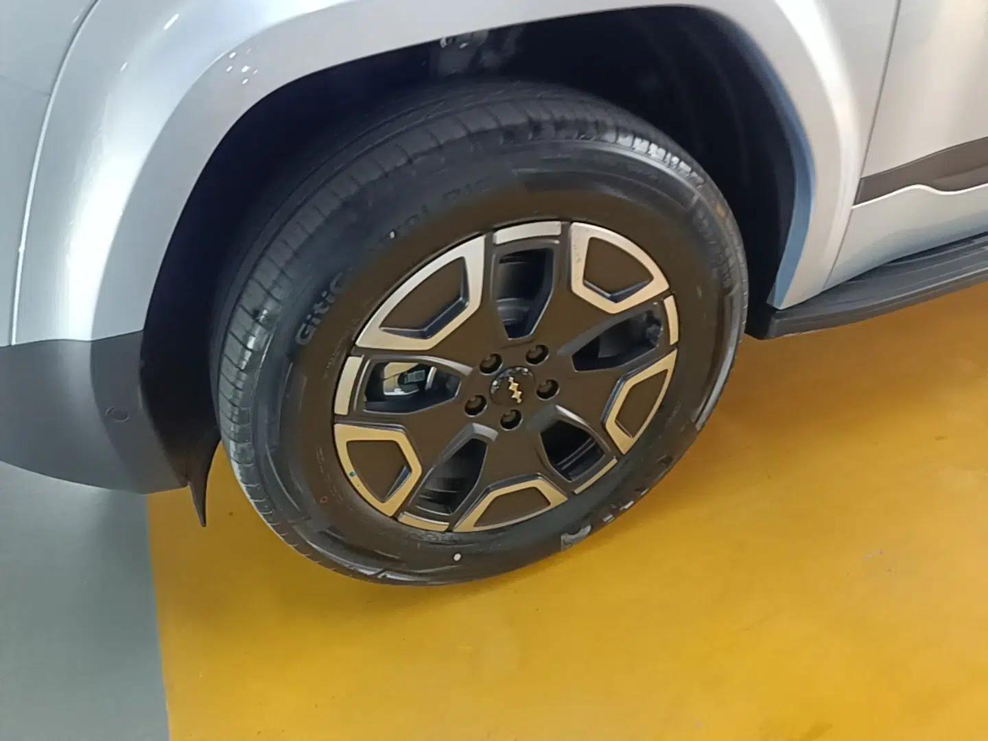 Formula Leopard Tai 7 2025 Model 200 km Two-Wheel Drive Max Edition — миниатюра 8