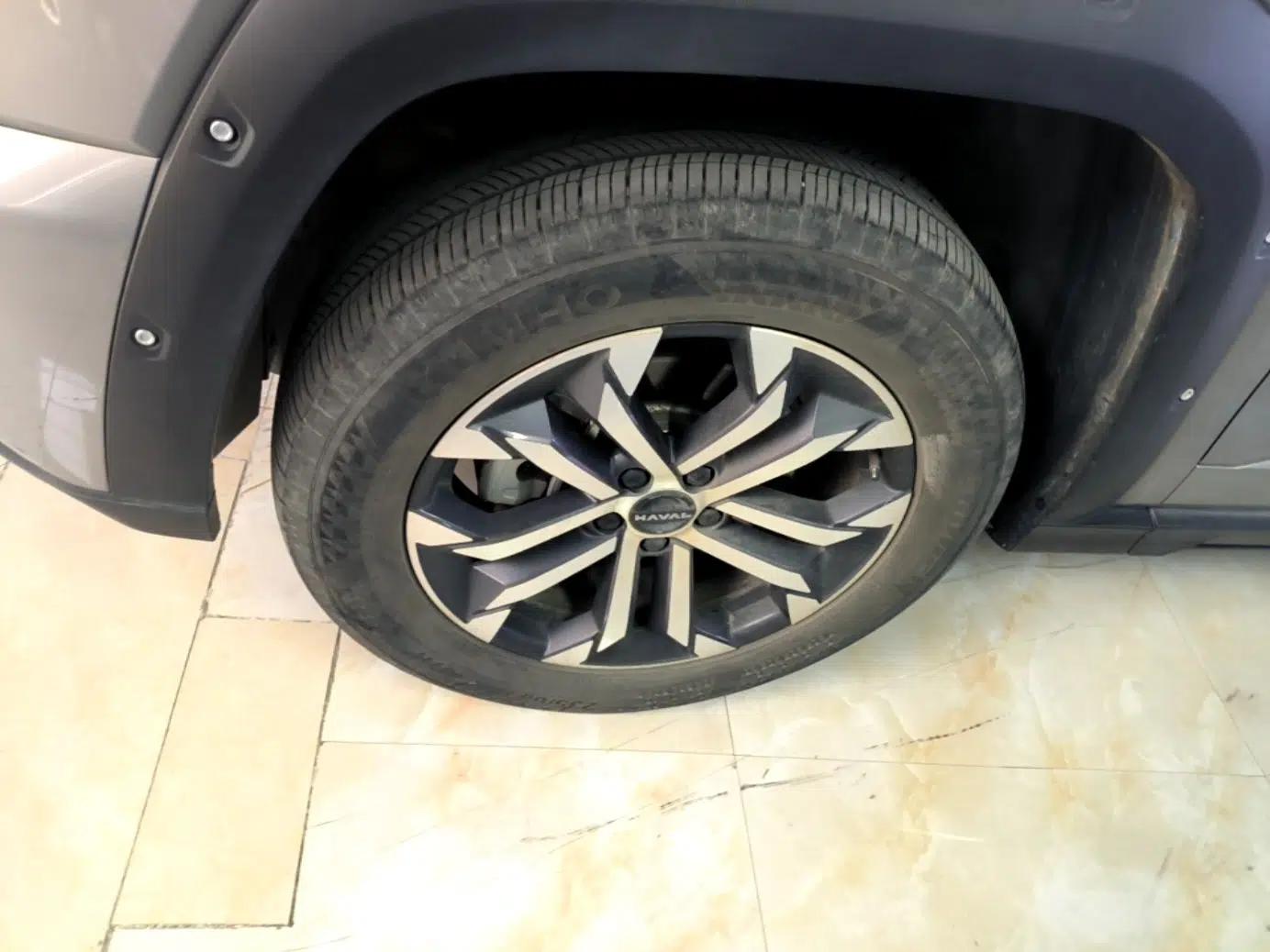 Haval H Dog 2023 1.5T Two-Wheel Drive Chao Ye Version Plus — миниатюра 8