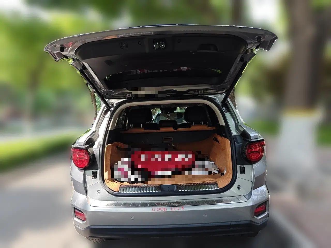 Haval H Dog 2023 2.0T Two-Wheel Drive Chaoye Version Plus — миниатюра 20