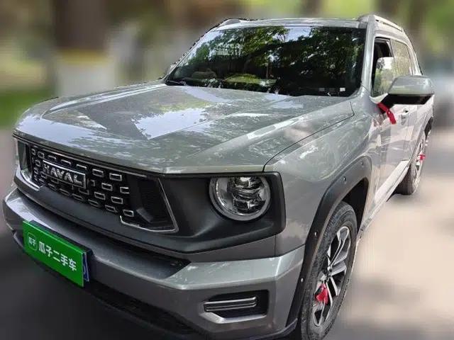 Haval H Dog 2023 2.0T Two-Wheel Drive Chaoye Version Plus