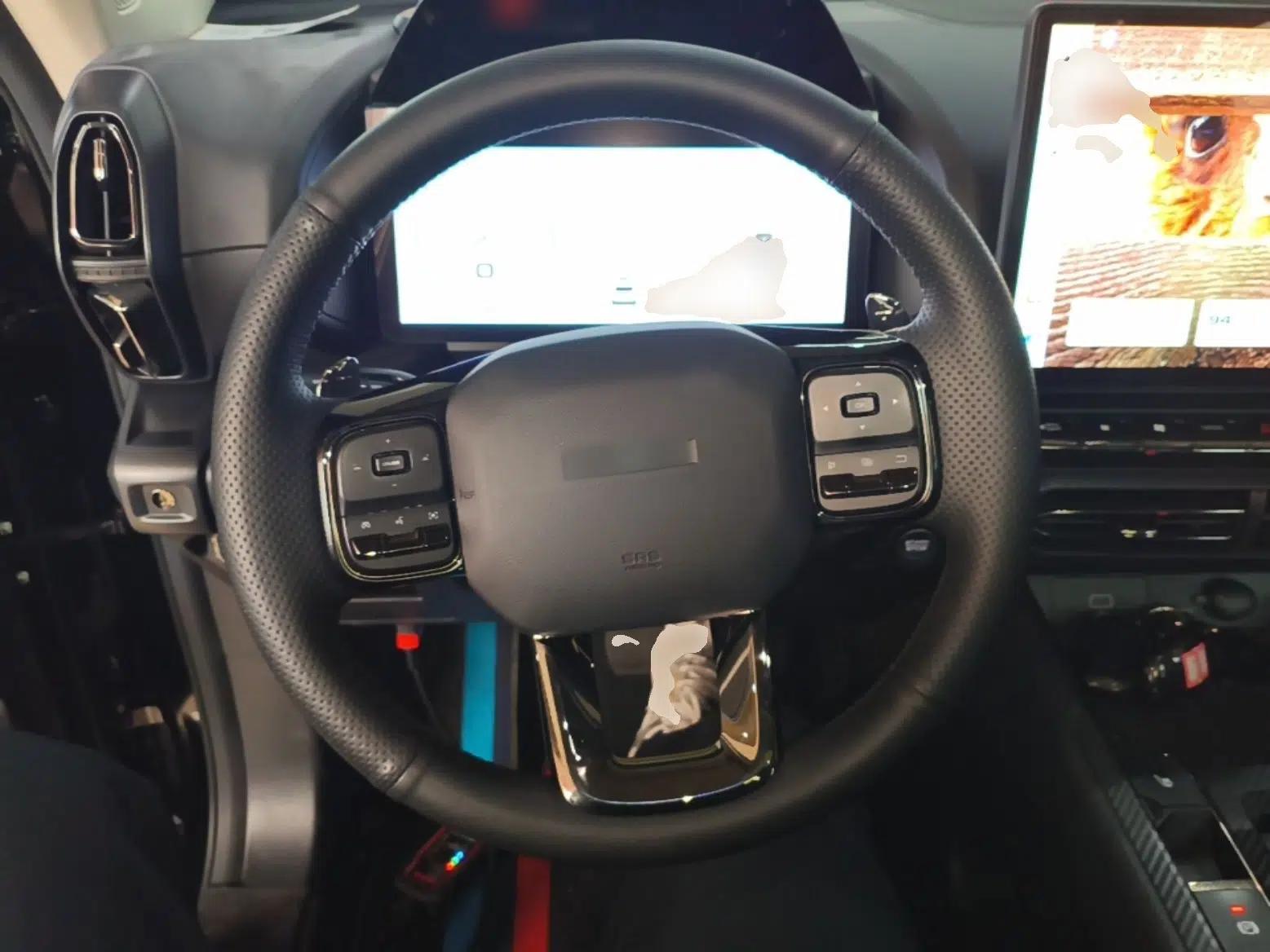 Haval H Dog 2023 1.5T Two-Wheel Drive Chao Ye Version Plus — миниатюра 14
