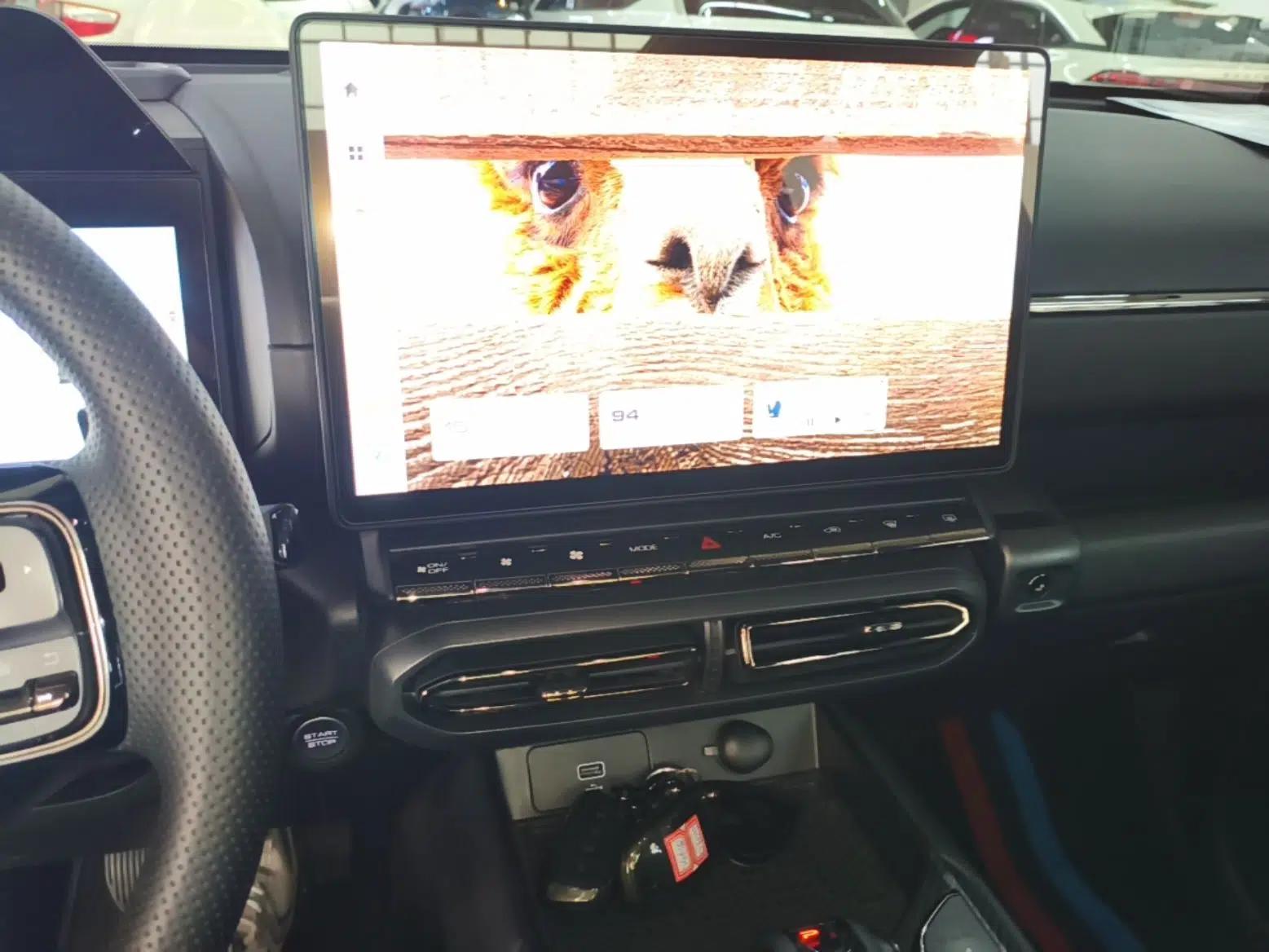 Haval H Dog 2023 1.5T Two-Wheel Drive Chao Ye Version Plus — миниатюра 16