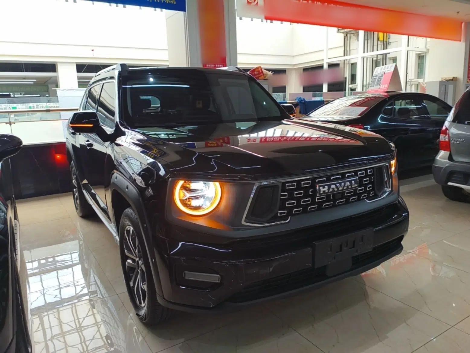Haval H Dog 2023 1.5T Two-Wheel Drive Chao Ye Version Plus — миниатюра 3