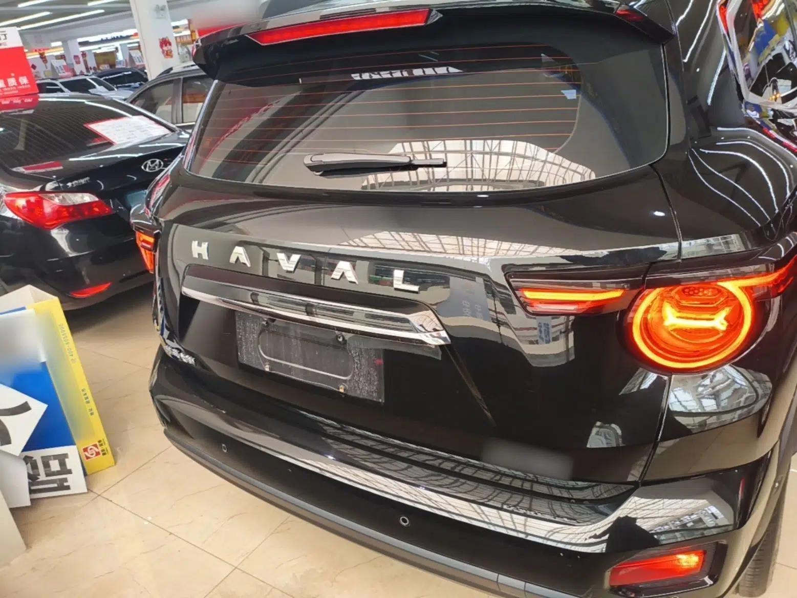 Haval H Dog 2023 1.5T Two-Wheel Drive Chao Ye Version Plus — миниатюра 5