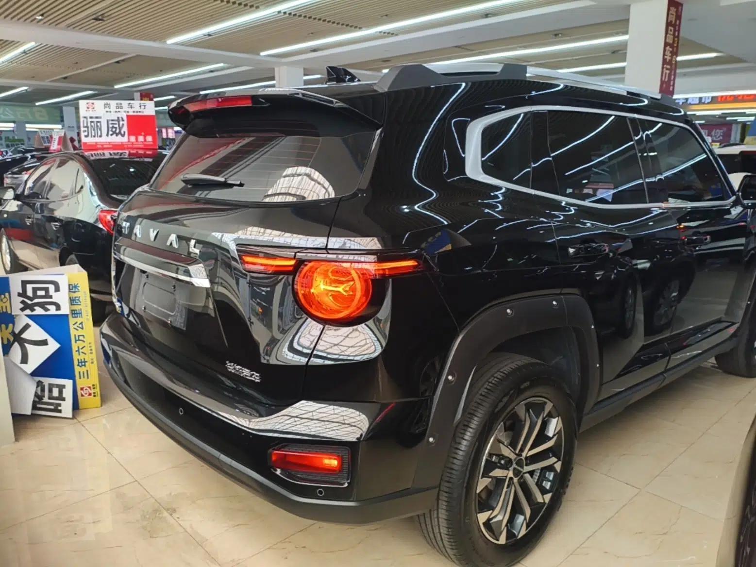 Haval H Dog 2023 1.5T Two-Wheel Drive Chao Ye Version Plus — миниатюра 6