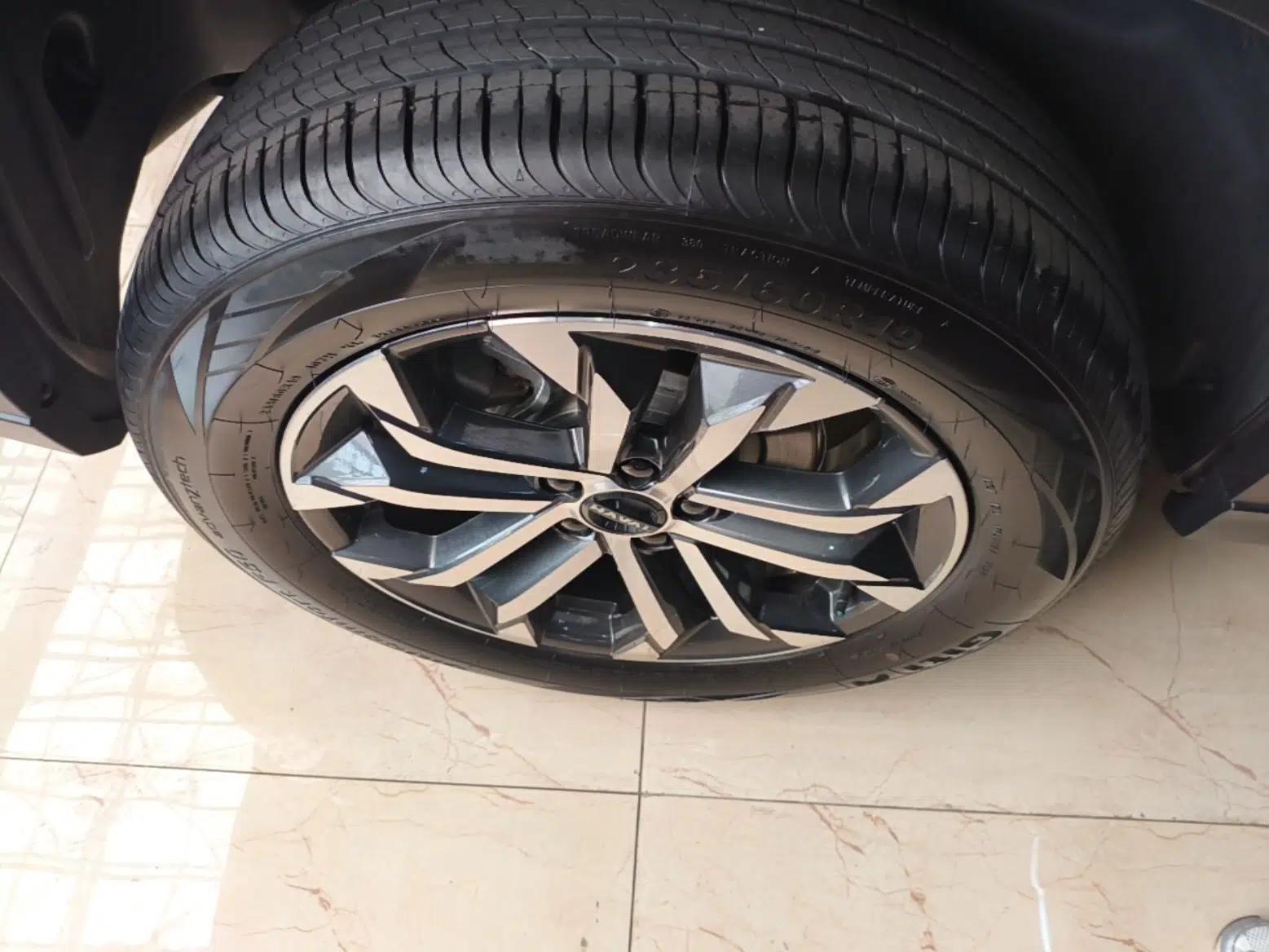 Haval H Dog 2023 1.5T Two-Wheel Drive Chao Ye Version Plus — миниатюра 10