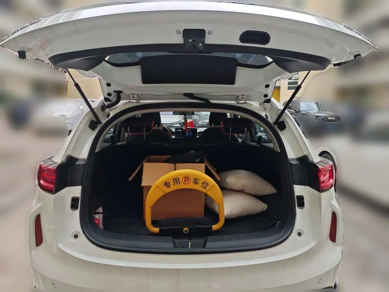 Haval LHERY 2021 High-Performance Version 1.5T Golden Rabbit — миниатюра 16