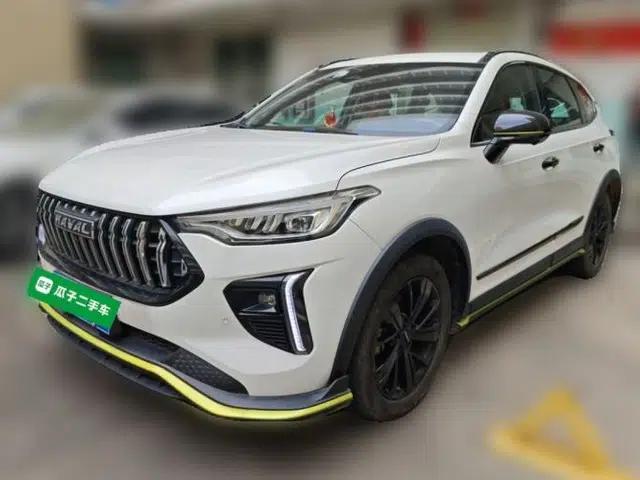 Haval LHERY 2021 High-Performance Version 1.5T Golden Rabbit