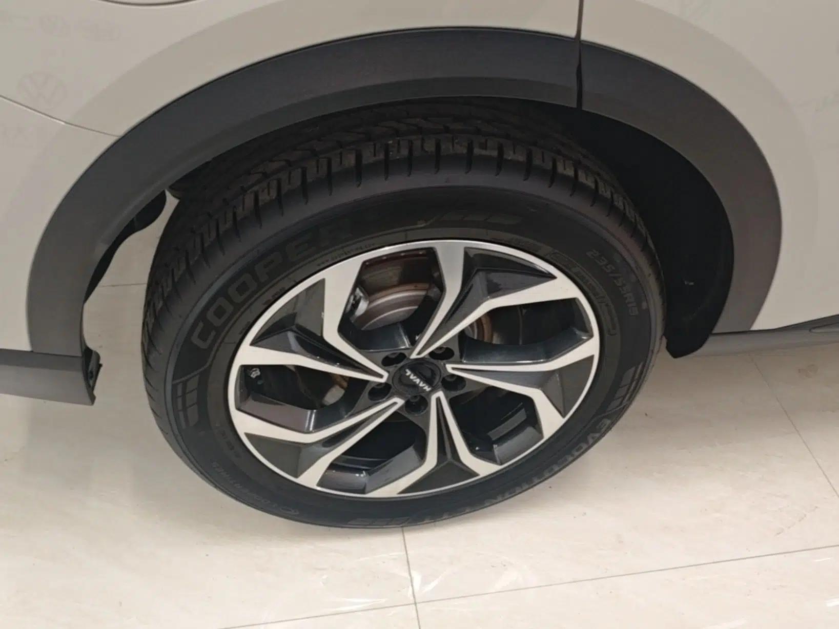 Haval Fierce Dragon Max 2025 Hi4 165 Ultra Smart Drive Edition — миниатюра 10