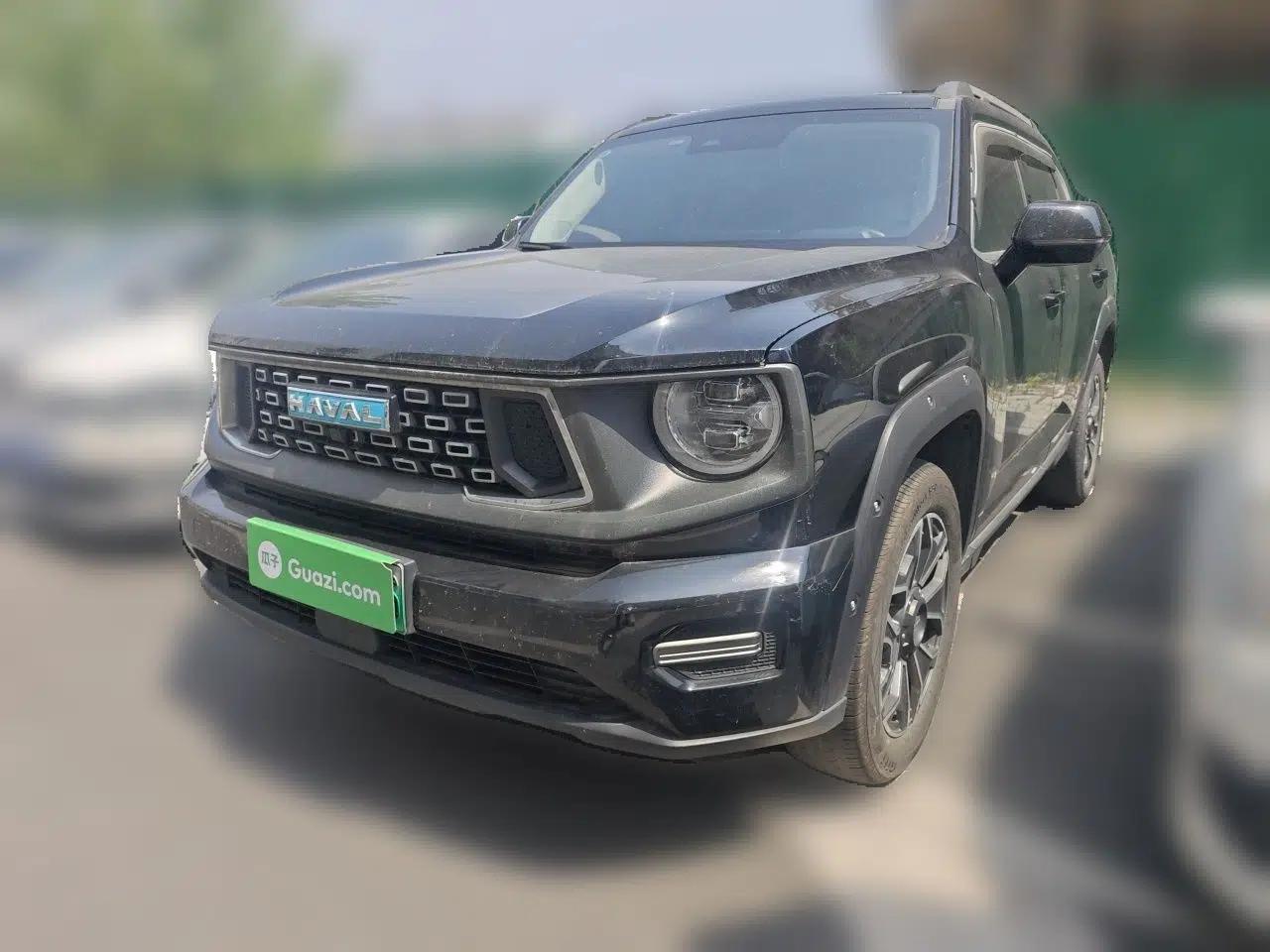 Haval H Dog New Energy 2023 DHT-PHEV 105km Tide Electric Version Plus — миниатюра 1