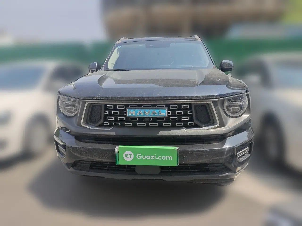 Haval H Dog New Energy 2023 DHT-PHEV 105km Tide Electric Version Plus — миниатюра 2