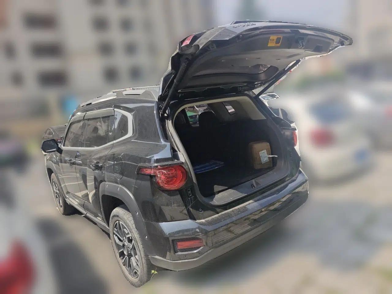 Haval H Dog New Energy 2023 DHT-PHEV 105km Tide Electric Version Plus — миниатюра 20